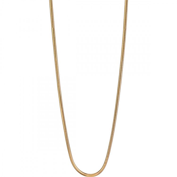 Collar Bering 424-20-500 Dorado