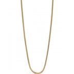 Collar Bering 424-20-500 Dorado