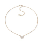Collar DKNY 60538629 Dorado