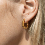 Argollas Jason Hyde Café JHJE0126Y