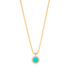 Collar Jason Hyde Turquesa JHJN0011MINIY-S