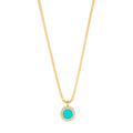 Collar Jason Hyde Turquesa JHJN0011MINIY-S
