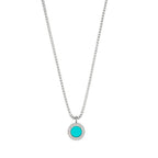 Collar Jason Hyde Turquesa JHJN0030MINIW