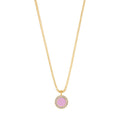 Collar Jason Hyde Morado JHJN0262Y-CS