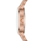Reloj DKNY NY2998 Oro rosado Mujer