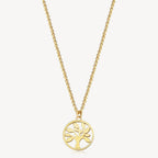 Collar Brosway BHKN094 Dorado Mujer