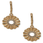 Aros Anne Klein Dorado Mujer 01G00703
