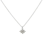 Collar Anne Klein Plateado Mujer