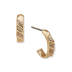 Set de Aros Mujer Anne Klein Bundled 01G01481