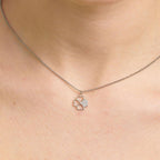 Collar Brosway BHKN091 Plateado Mujer