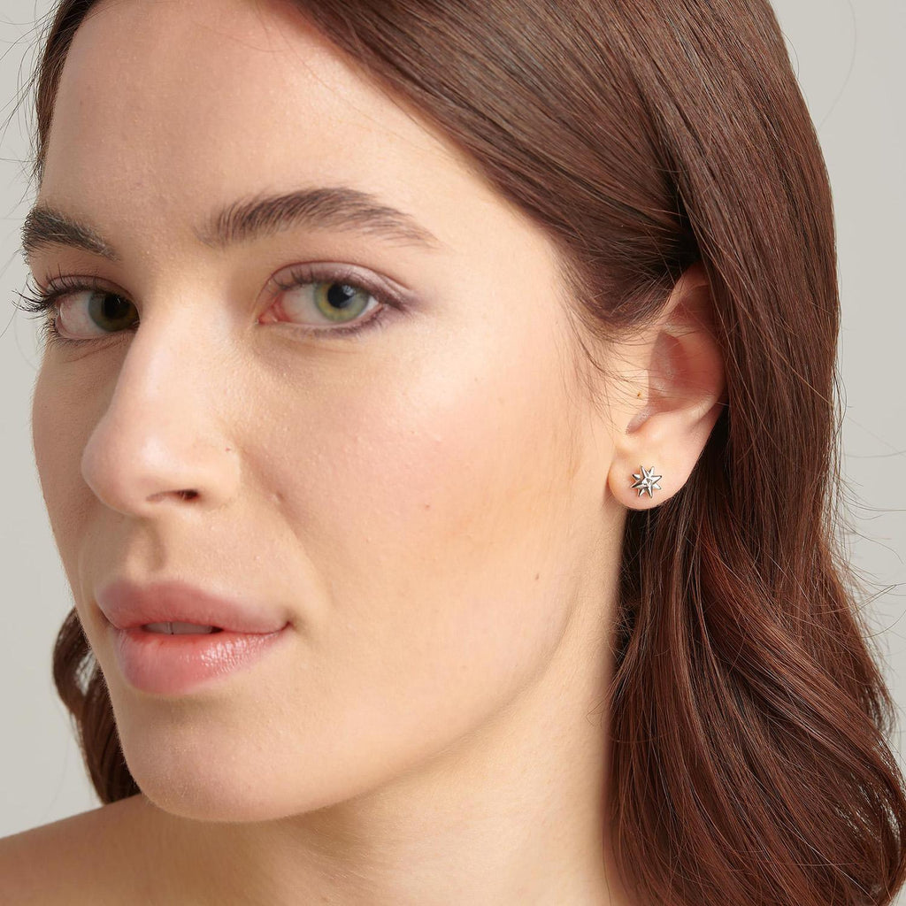 Aros Brosway Chakra Plateados BHKE045