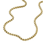 Collar Fossil JF04575710 Dorado