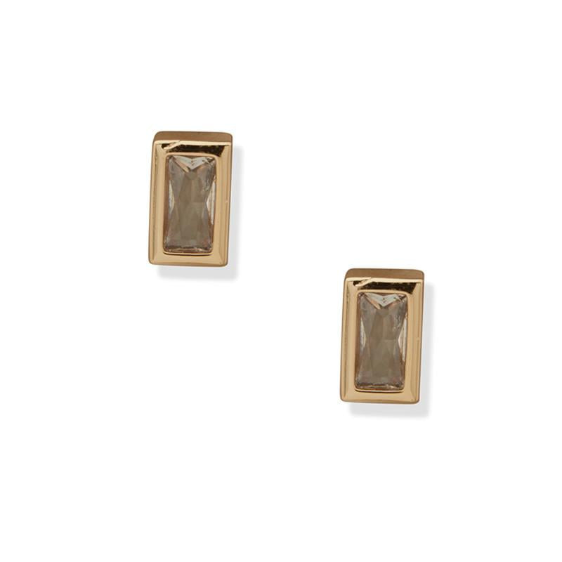Set de Aros Mujer Anne Klein Bundled 01G01406