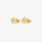 Aros Brosway Dorado Mujer BHKE046